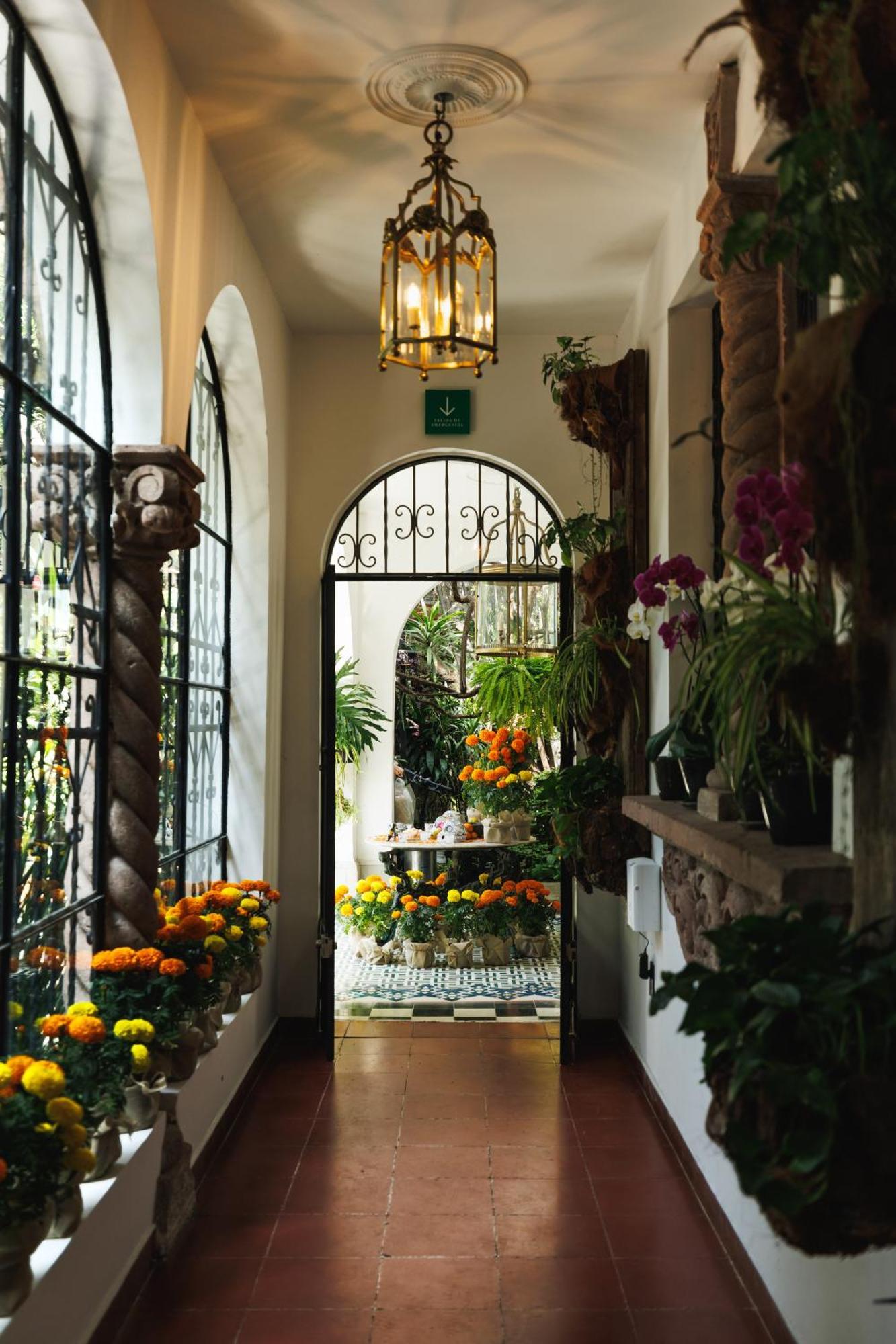 Orchid House Polanco Hotel México DF Exterior foto